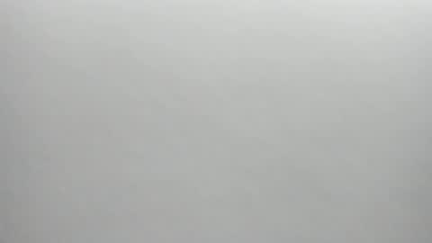 Snapshot of synop_sis chatting on 12/17/25, 01:44 Mila online show from 12/17/25, 01:44