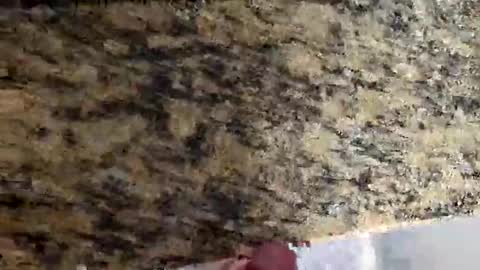 Canon online show from 03/02/26, 04:47