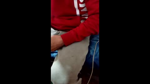 Taitotoito online show from 01/16/26, 02:04