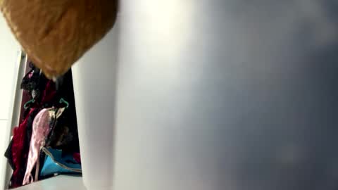 tali  online show from 10/25/25, 06:35