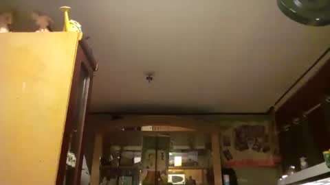 Snapshot of taliban809 chatting on 02/18/25, 08:05 taliban809 online show from 02/18/25, 08:05