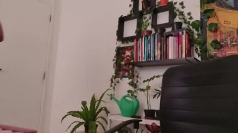 Tali Majid online show from 01/06/26, 05:38