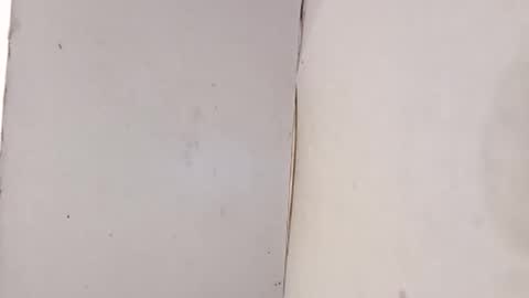 Snapshot of tall6feet7inch chatting on 02/01/26, 10:08 tall6feet7inch online show from 02/01/26, 10:08