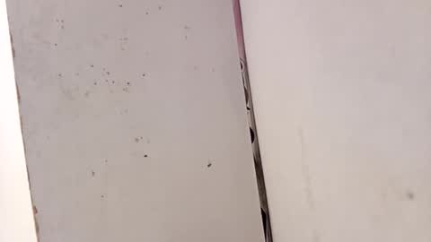 Snapshot of tall6feet7inch chatting on 02/15/26, 03:31 tall6feet7inch online show from 02/15/26, 03:31