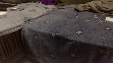 Aligator online show from 11/15/25, 04:43