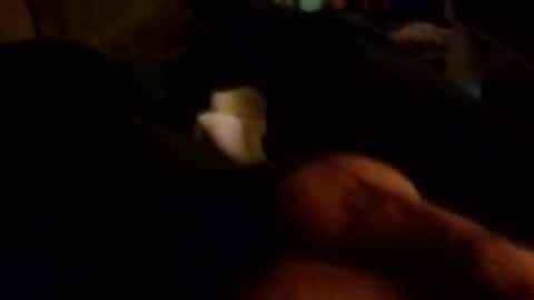 The Man of Steel online show from 10/26/25, 10:43