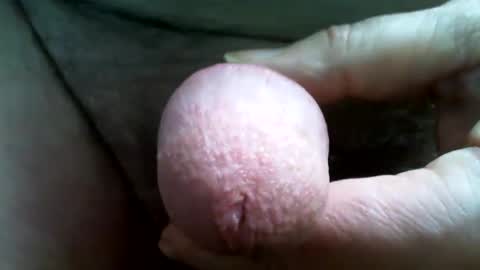 tallgentleman online show from 12/01/24, 05:35