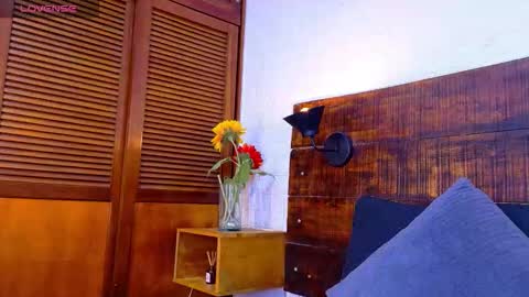    online show from 12/17/25, 11:38