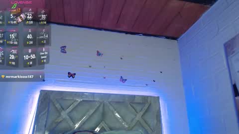 Tamy Vega online show from 03/08/26, 11:58