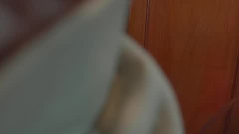 Snapshot of tamyeliot chatting on 10/05/25, 02:32 Tamy online show from 10/05/25, 02:32