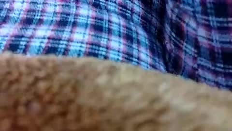 Snapshot of taniya_roy4628 chatting on 02/12/26, 02:50 taniya_roy4628 online show from 02/12/26, 02:50