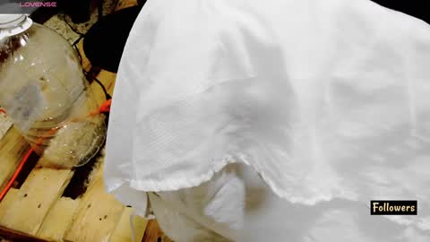 instagram Gattitasha online show from 02/26/25, 12:38