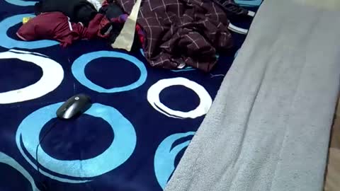 Snapshot of tastie_t chatting on 11/01/25, 06:04 tastie_t online show from 11/01/25, 06:04