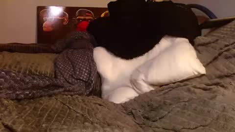 Jean pool online show from 03/28/26, 05:45