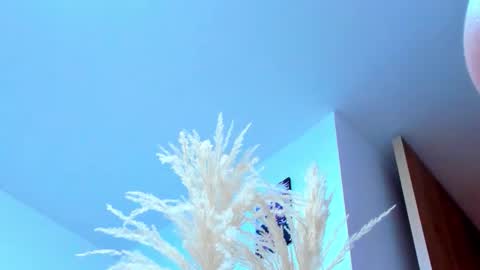 tayler_swift1 online show from 02/13/26, 06:37