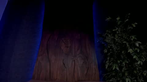 Snapshot of taylor_jonnees chatting on 12/07/24, 02:24 Taylor Help me to get 100 thumbs up online show from 12/07/24, 02:24