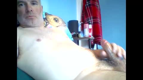 Snapshot of tazo78 chatting on 11/09/25, 12:58 tazo78 online show from 11/09/25, 12:58