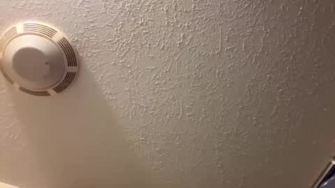 Lilbeebs online show from 03/26/26, 04:45