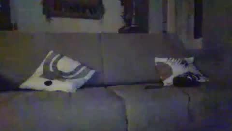 tchoop64 online show from 12/21/25, 08:27