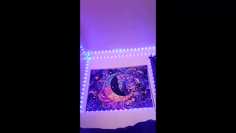 tedestep2 online show from 04/17/26, 02:14