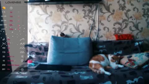 Ada  online show from 12/19/25, 09:38