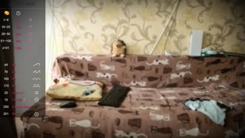 Ada  online show from 01/10/26, 01:24