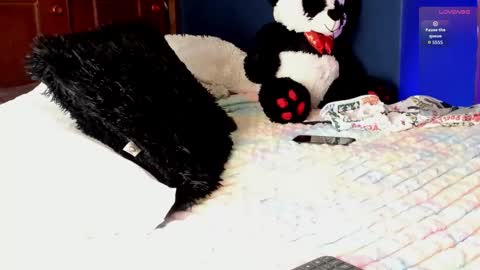 Teo online show from 03/11/26, 08:26