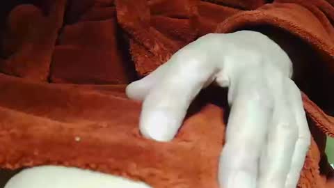 tetuo2 online show from 10/14/25, 04:13