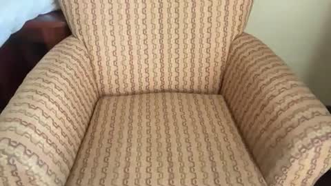 Tev online show from 03/23/26, 03:05