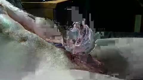 Texas Rose 33 online show from 04/04/26, 05:10