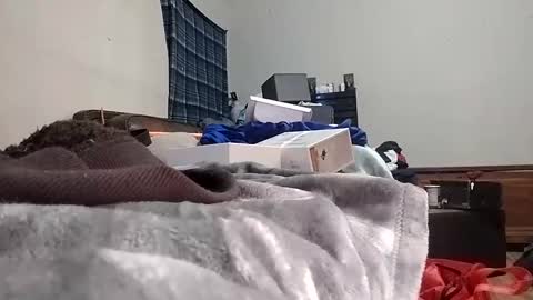 Snapshot of texasmade13 chatting on 01/24/25, 07:30 TexasDick online show from 01/24/25, 07:30