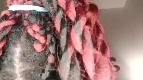 Snapshot of tgirlfairy chatting on 01/17/25, 05:32 sexi lexi online show from 01/17/25, 05:32