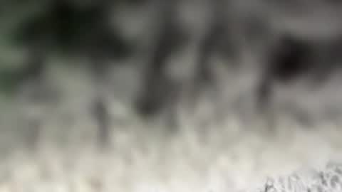 thankyoudaddy1 online show from 03/15/26, 07:36