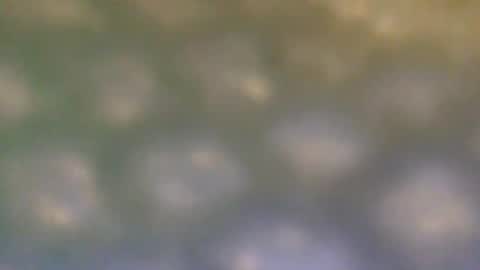 Snapshot of that_thing20 chatting on 03/05/25, 07:06 that_thing20 online show from 03/05/25, 07:06