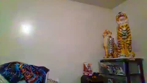 thatgirl4201 online show from 11/15/25, 05:27