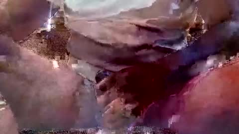 That Guy J online show from 02/11/25, 01:51