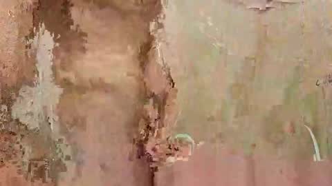 Snapshot of the1st_play_girl chatting on 12/30/24, 06:27 the1st_play_girl online show from 12/30/24, 06:27