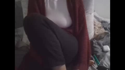 Snapshot of the_borderlands chatting on 11/13/25, 11:42 the crazy travellers online show from 11/13/25, 11:42