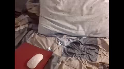 Snapshot of the_borderlands chatting on 12/01/25, 08:52 the crazy travellers online show from 12/01/25, 08:52