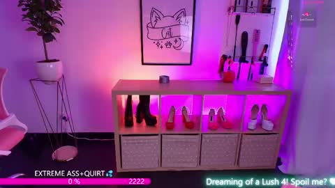i am Cat  online show from 05/19/26, 06:36