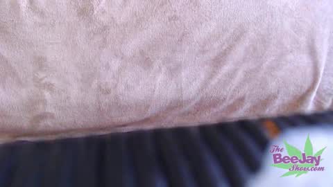 Snapshot of thebeejayshow chatting on 12/04/24, 08:12 TheBeeJayShow online show from 12/04/24, 08:12