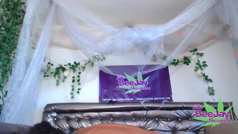 Snapshot of thebeejayshow chatting on 12/04/24, 09:57 TheBeeJayShow online show from 12/04/24, 09:57