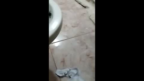 thedo121111 online show from 10/01/25, 01:17