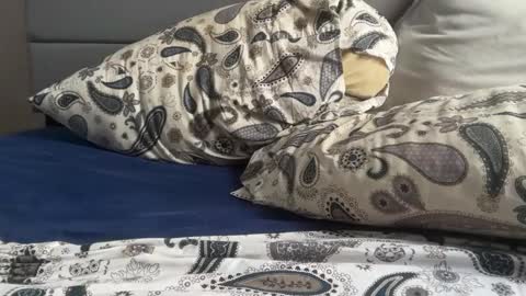 Snapshot of theeshooterr chatting on 12/05/24, 06:22 theeshooterr online show from 12/05/24, 06:22