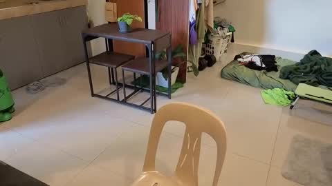 Green online show from 04/01/26, 06:58