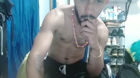 Snapshot of thehousedog chatting on 02/27/25, 05:04 thehousedog online show from 02/27/25, 05:04