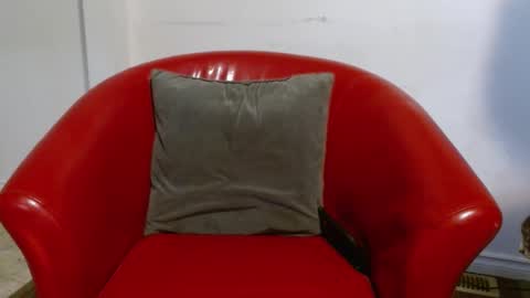 Snapshot of thekodyy chatting on 01/26/25, 01:47 thekodyy online show from 01/26/25, 01:47