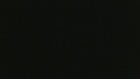 Snapshot of thenudedoodler chatting on 12/08/24, 05:44 JohnSilver online show from 12/08/24, 05:44