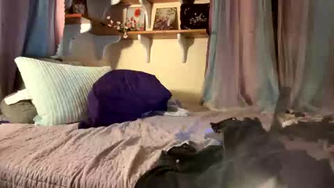 Snapshot of theonlyboi43ver chatting on 12/17/25, 11:44 theonlyboi43ver online show from 12/17/25, 11:44