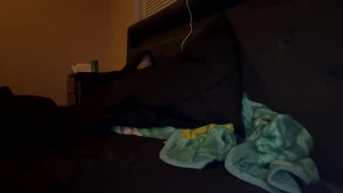 Snapshot of thepipe_layer chatting on 11/16/25, 02:06 ThePipe online show from 11/16/25, 02:06